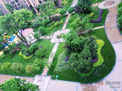 下雨了，窗外空气如此清晰