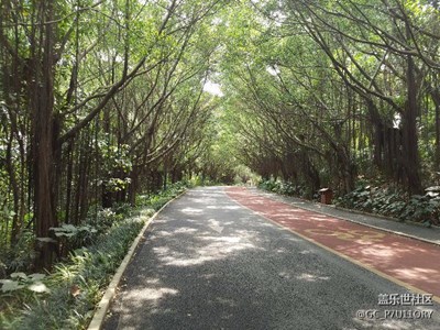 广西南宁青秀山景区大7e拍摄