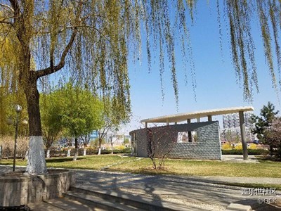 植物园（1）