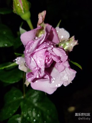 雨夜里半开的青空