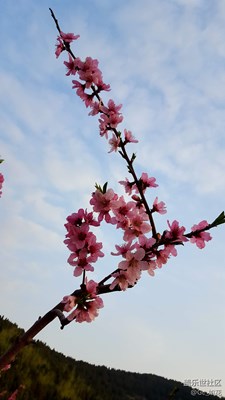随拍