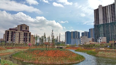 美丽城市