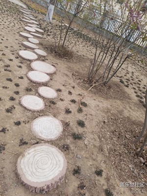 随拍