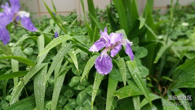 老机note4依旧宝刀未老啊