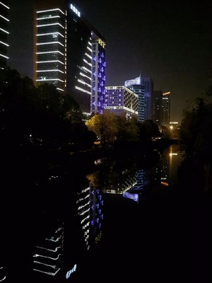 夜景与茶花