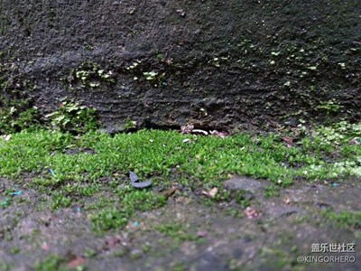 雨后街角