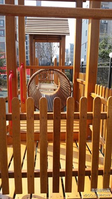 春天 阳光 希望