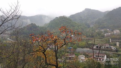 第一次发帖，混脸熟