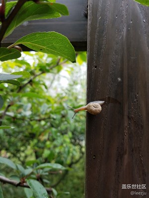 雨后一瞥