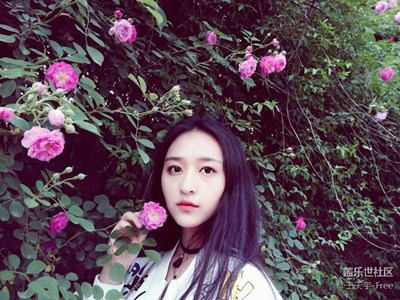 有时候  爱上一座城市比爱上一个人简单的多