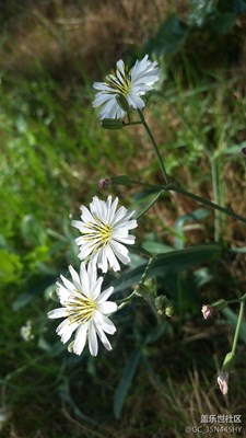 小小角落 爱不一样