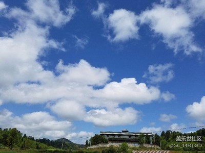 岑巩碧蓝天空！与我滴小花