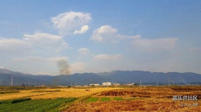 收割的季节，宛如油画