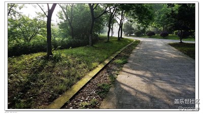 雨后清晨