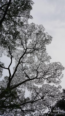 爱不一样 留住刹那