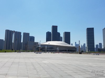天气不错，再次出去喂海鸥。