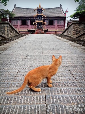 闯入者