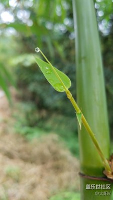 雨后