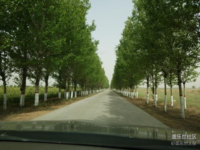 林荫大道