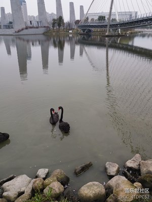 爱不一样情侣