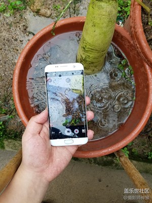 探索水世界——三星Galaxy S7水下拍摄