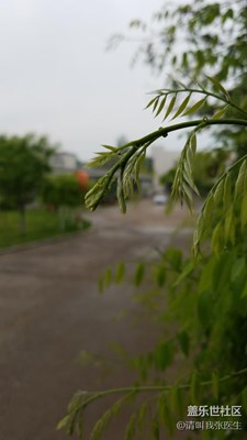 雨后清晨