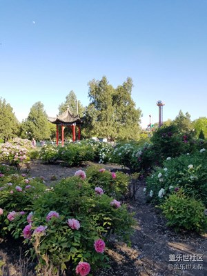 每日一图
