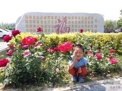 花样少男