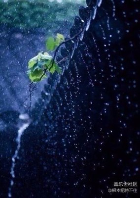 倚楼听风雨（转）