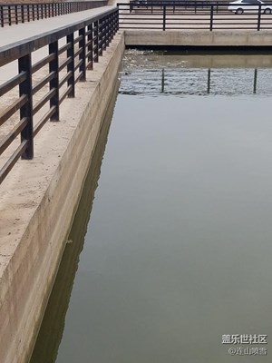 湖中小桥