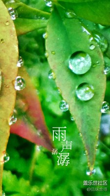 雨声潺潺