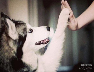 Baby Give me five！