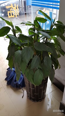 水贴