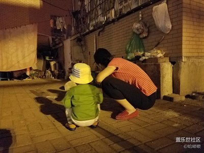 拔草喂猫，S7拍夜景，果然强大。