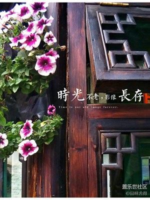 时光不老，影像长存