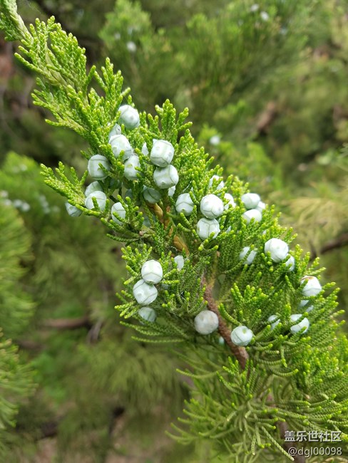 20160602_155520.jpg