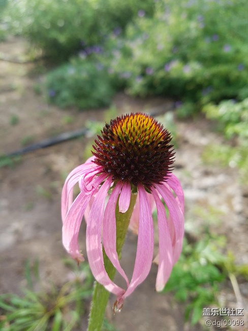 20160602_160229.jpg