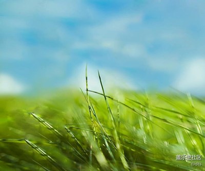 自认为不错的风景照