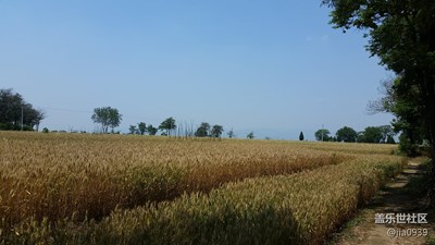 又有一年丰收时