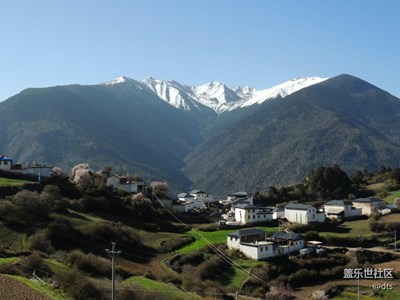 夏日福利
