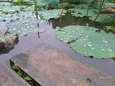 小路