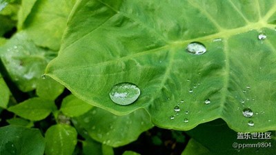 夏日雨后