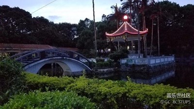 随拍