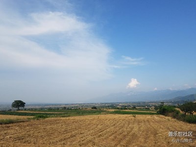 麦田