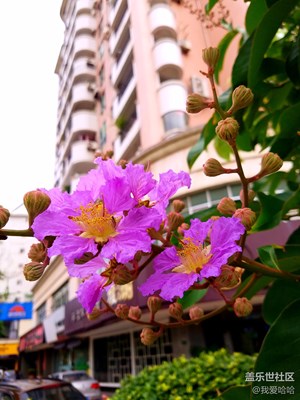 路上随拍