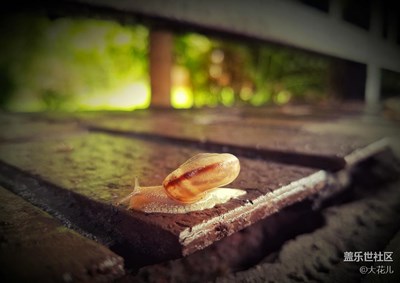 雨后……偶遇……