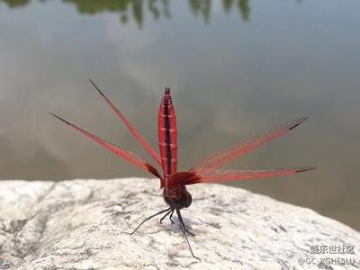 岁月静好