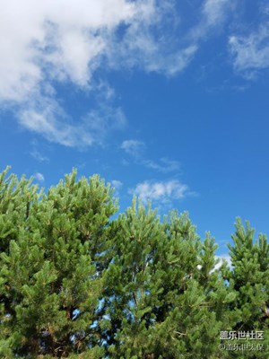 蓝天