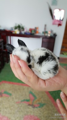 随吧