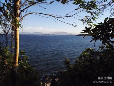 大海